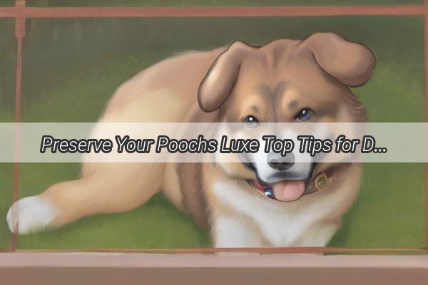 Preserve Your Poochs Luxe Top Tips for Dog Hair Care and Preservation